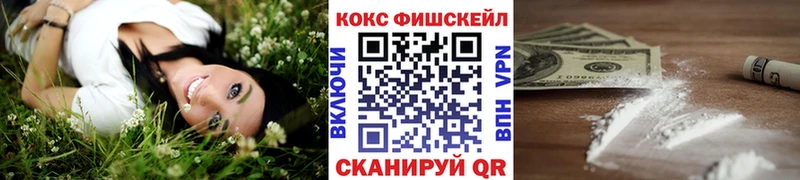 COCAIN Fish Scale Ивангород