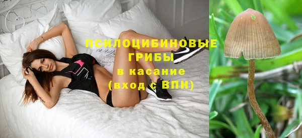 герыч Алексин